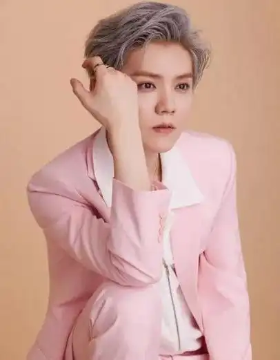 鹿晗被人民日报点名曾是流量担当的他为何过气