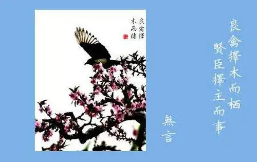 "良禽择木而栖,贤臣择主而事"是如何白话文解说?