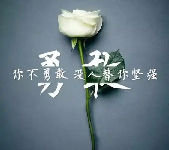 励志图片带字霸气霸气犀利高考励志正能量图片句子