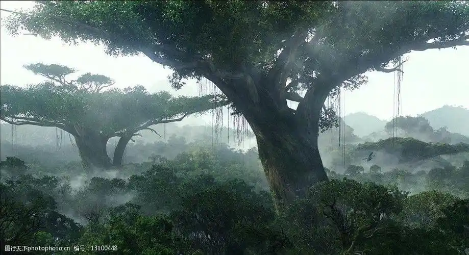 阿凡达大树图片图片-图行天下图库