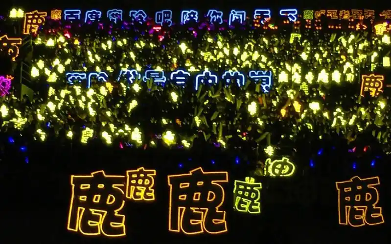 当晚在场内的芦苇也给予了鹿晗很出色的应援,摄像切到黄金鹿海的时候