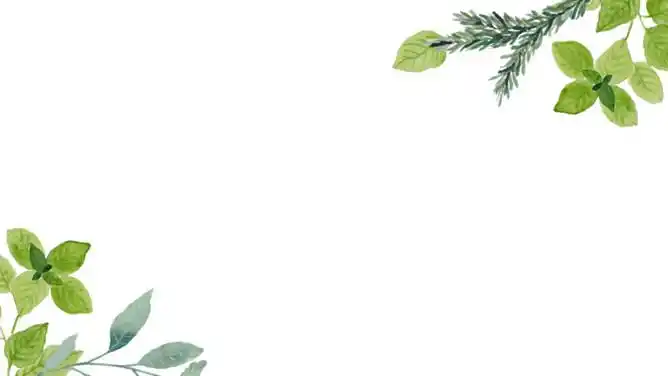 清新绿叶小花边框ppt背景