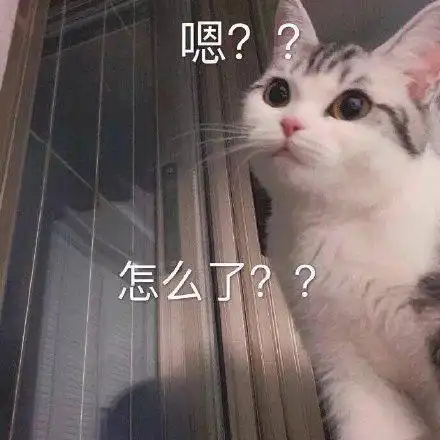 嗯?怎么了?猫咪表情包_猫咪_怎么表情