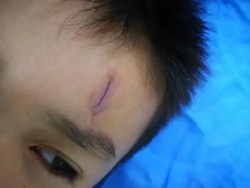 写在jimmy10周岁前