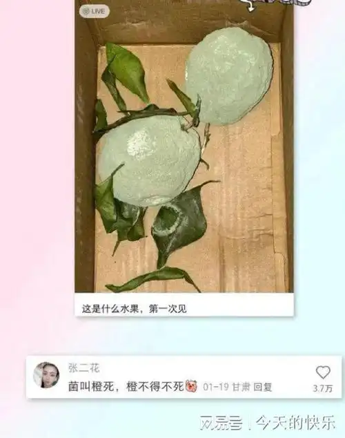 搞笑图片第452期大学生们放假后的经济来源笑死人