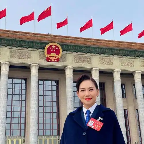 邝美云代表进一步推动中华文化走出去