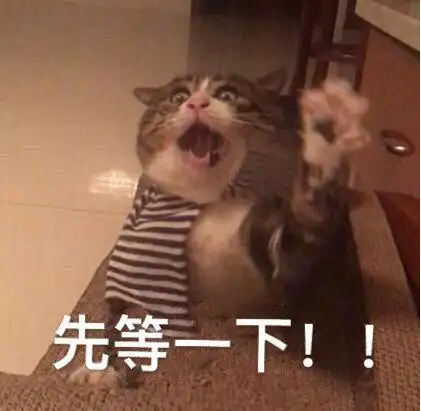 萌宠gif喵星人gif先等一下gif等等gif呆萌gif可爱gif