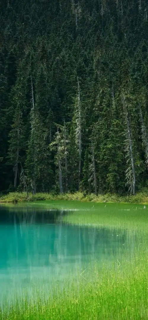 4k壁纸|超清唯美壁纸