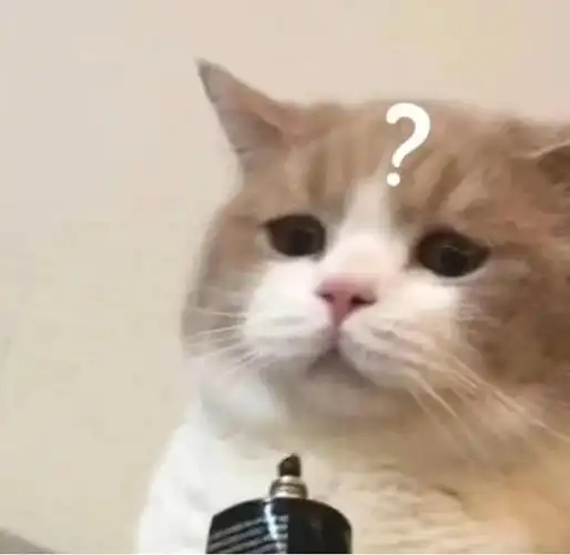 一些问号小猫表情包可爱又实用存