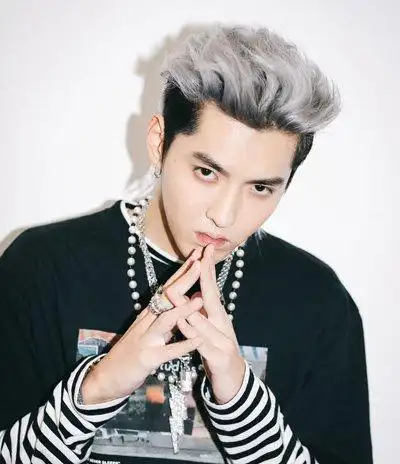 男生发型 男明星发型 >> 吴亦凡新年掀起银发风潮 独树一帜让人有点跟