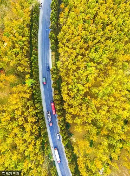 视觉中国国内图片精选:飞"阅"山东郯城 瞰"金甲"满城