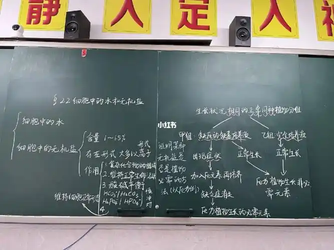 高中生物必修一板书22细胞中的水和无机盐