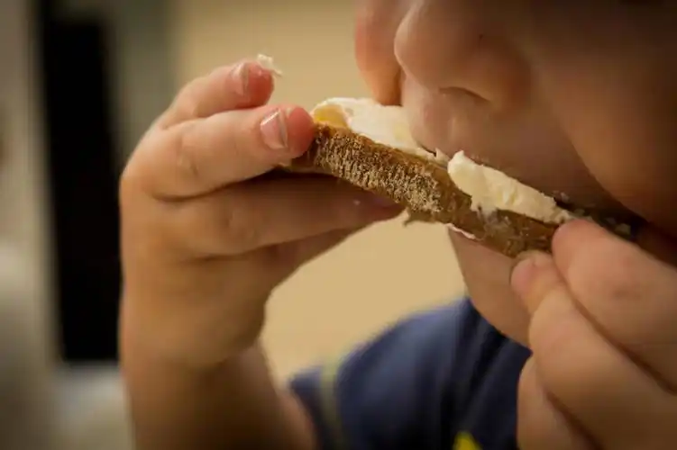 欧洲,欧洲人,仅一个男性,仅一个人,三明治,拿着,休闲装,饮食,小孩,仅