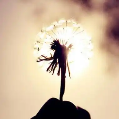 阳光照耀的静态头像_微信头像_我要个性网