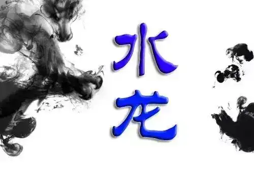 1952年de龙, 2012年龙, 长流水命, 都是水龙, 主财运好事业
