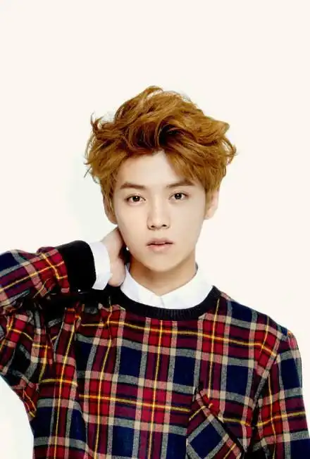 exo鹿晗提出与sm解约exo将失中国火爆人气