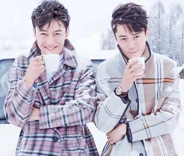 新生代流量小生,比如李易峰等人,目前还没完全崭露头角,尚未受到大家