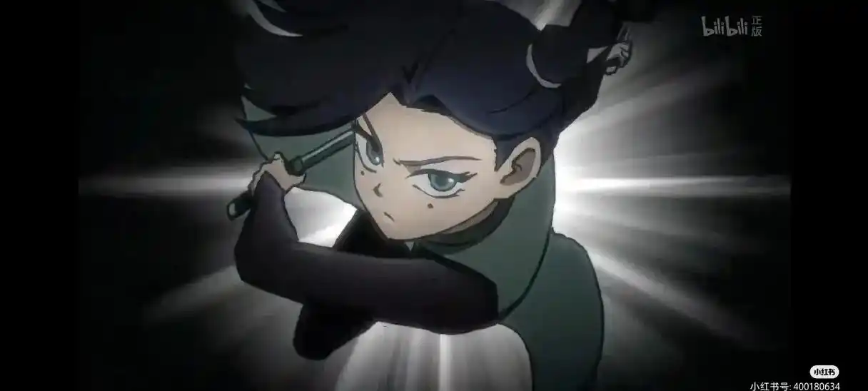 这次收集的梅花十三图片比较多