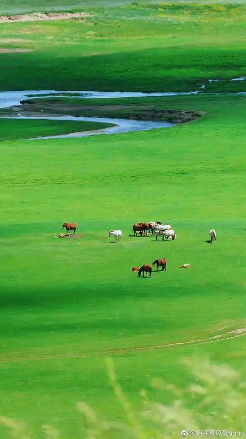 夏日|草原壁纸系列 夏日的风已吹绿了草原~……__财经头条