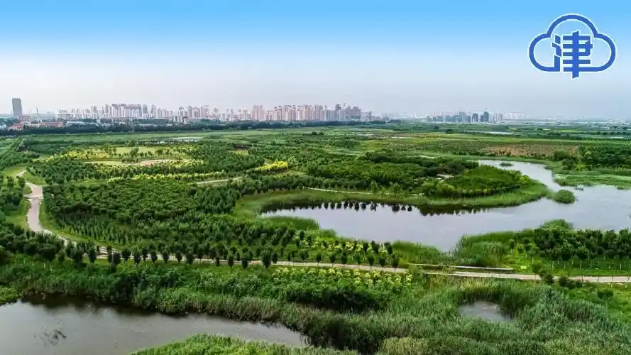 津云镜头点绿成津生态屏障让京津冀实现绿色深呼吸