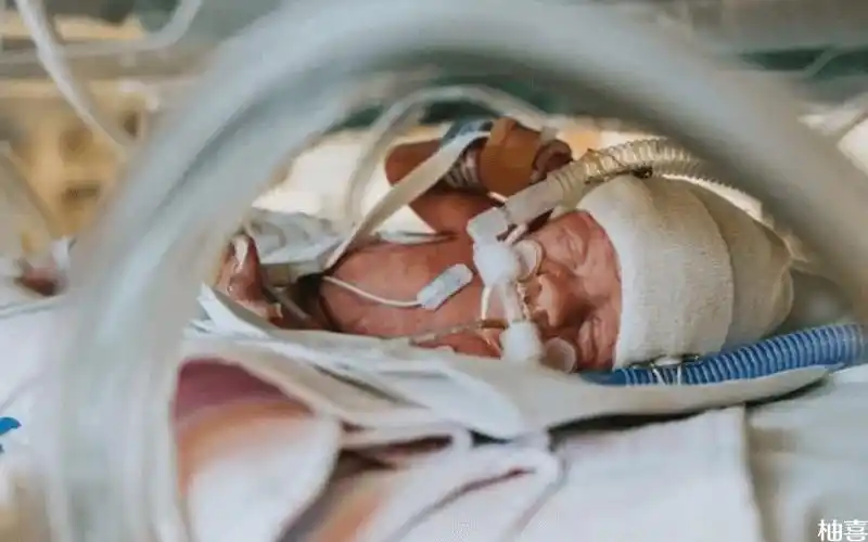 早产儿待在保温箱