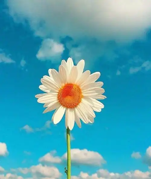 美好时光的唯美短句(岁月静好的唯美句子)  第1张