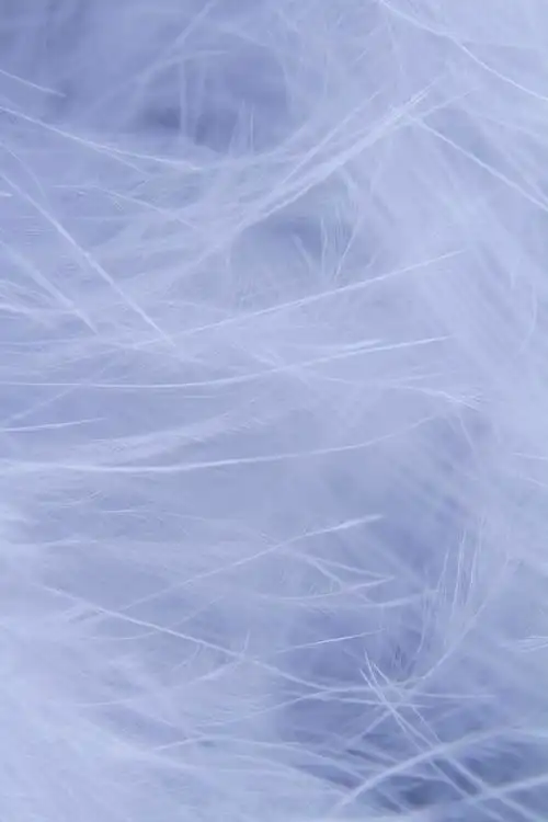 唯美白色羽毛背景