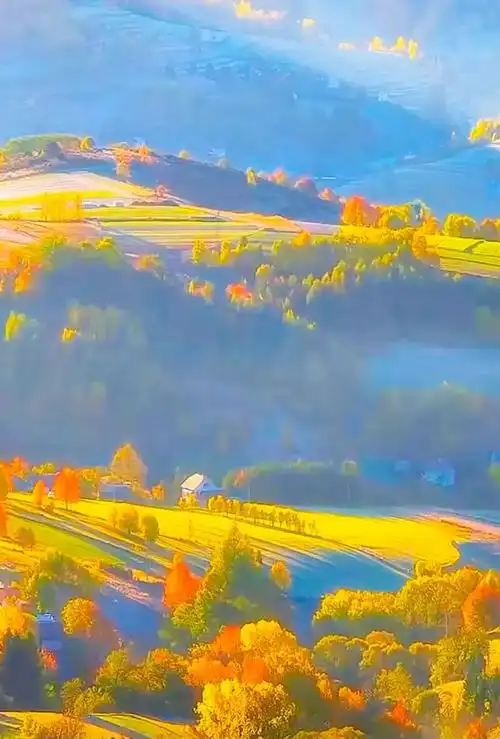 人活得其实是一种心态,心态好心情才能好,过好阳光下的美好人生