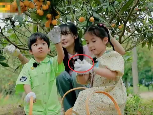 郑爽只剥一个枇杷喂两个小孩,当没吃完时,谁注意她做法?