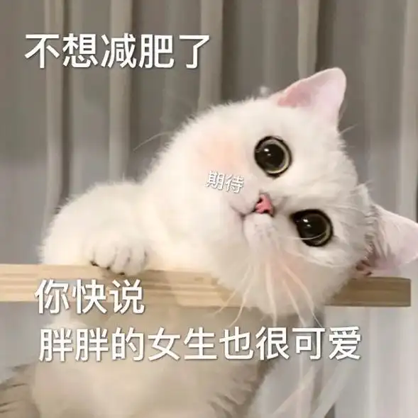 不想减肥了,你快说胖胖的女生也很可爱 #猫咪表情包 #可爱表 - 抖音