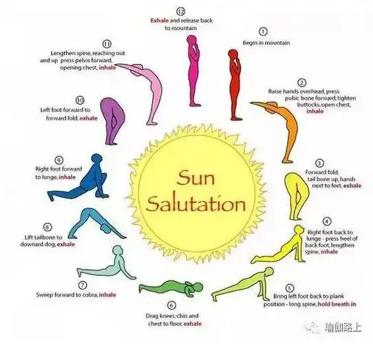 最美「 哈他瑜伽拜日式 」瑜伽入门经典! - 健身健美