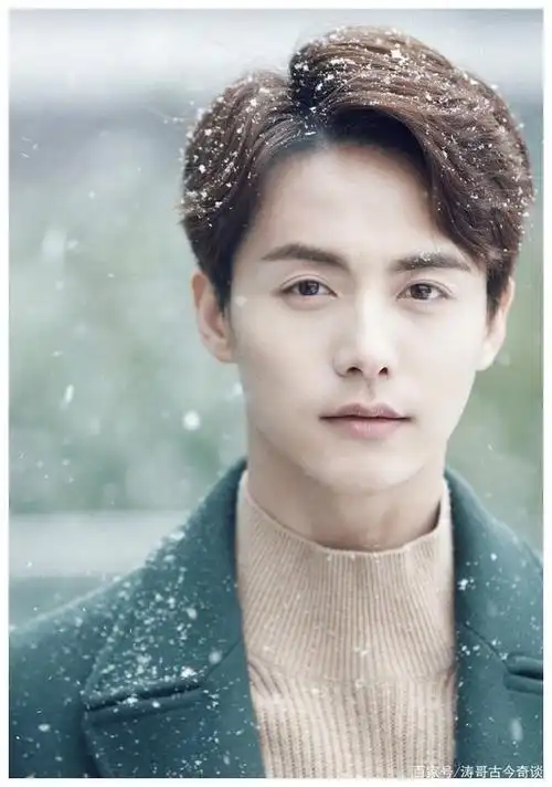 男明星,内地男演员大全名单(内地男演员全部名单)