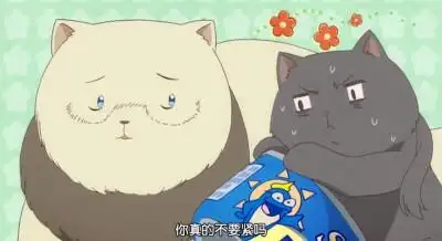 黑塔利亚 喵塔利亚