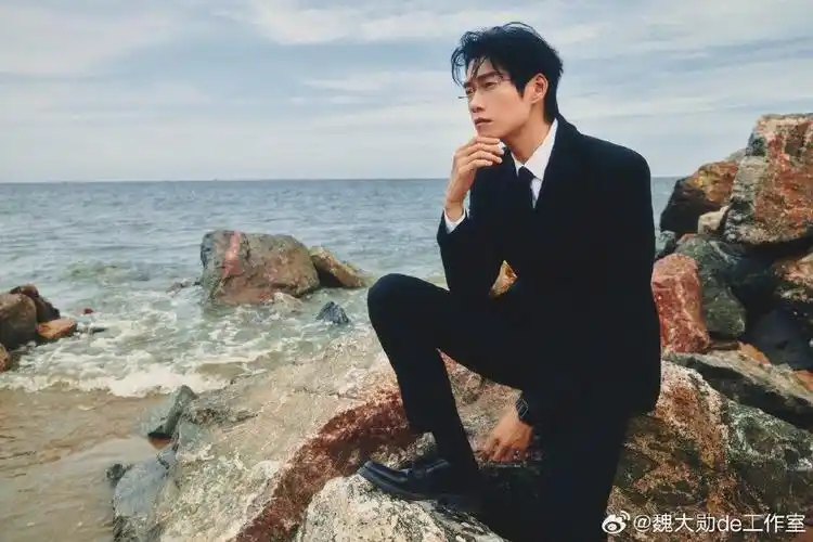 魏大勋海边摆拍眼眸深情秒回孟宴臣_娱乐频道__中国青年网