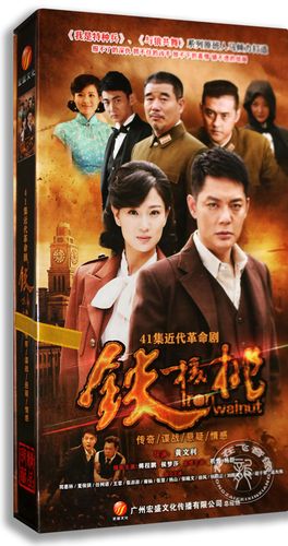 正版电视剧 铁核桃14dvd 精装版 傅程鹏 侯梦莎 抗日谍战剧