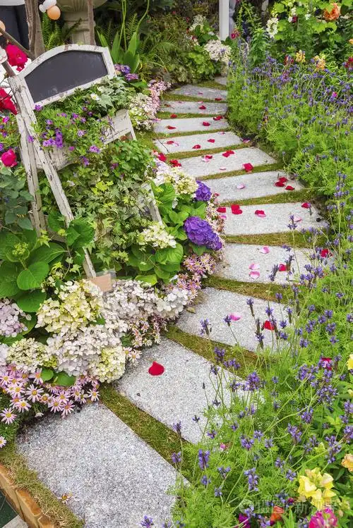 美丽的绿色花园里的小路