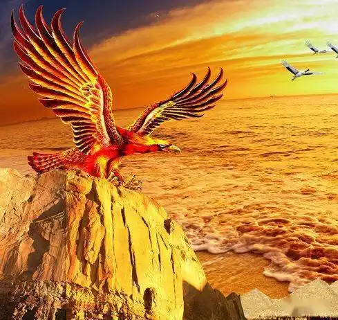 中老年头像大全:雄鹰展翅,大展宏图的微信头像