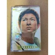 刘德华国语经典