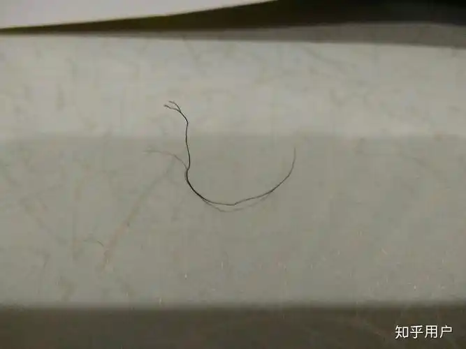 一根头发可以分叉成什么样