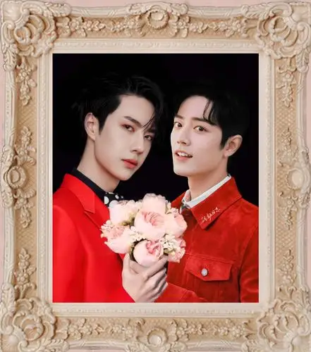 陈情令|王一博|肖战