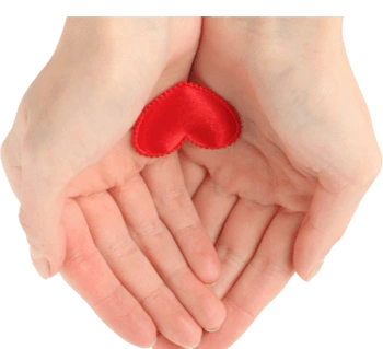 手部动作手捧爱心