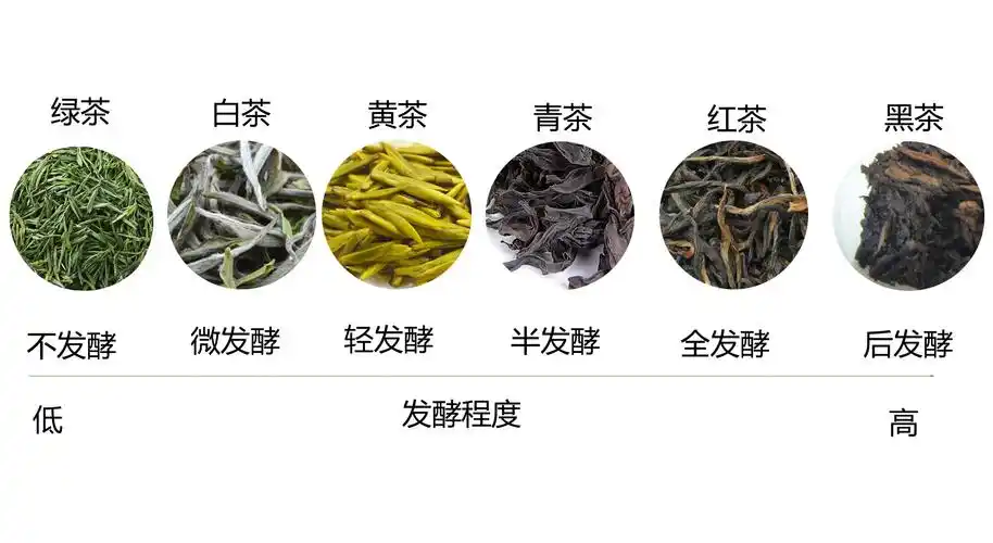 六大茶叶 - 2020年最新商品信息聚合专区 - 百度爱采购