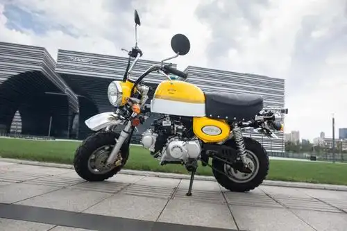 能引妹能翘头6380元最迷你金城小金童jc70