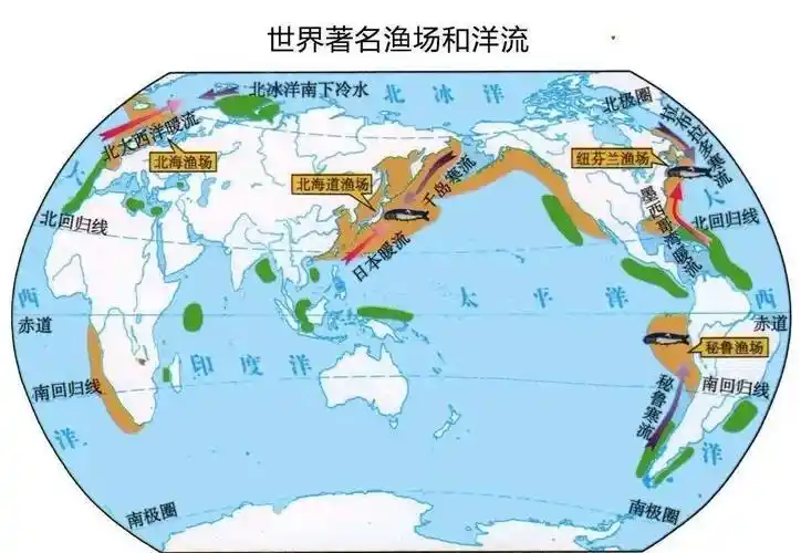 高中地理必备高清地图和省区地形行政区划图_世界