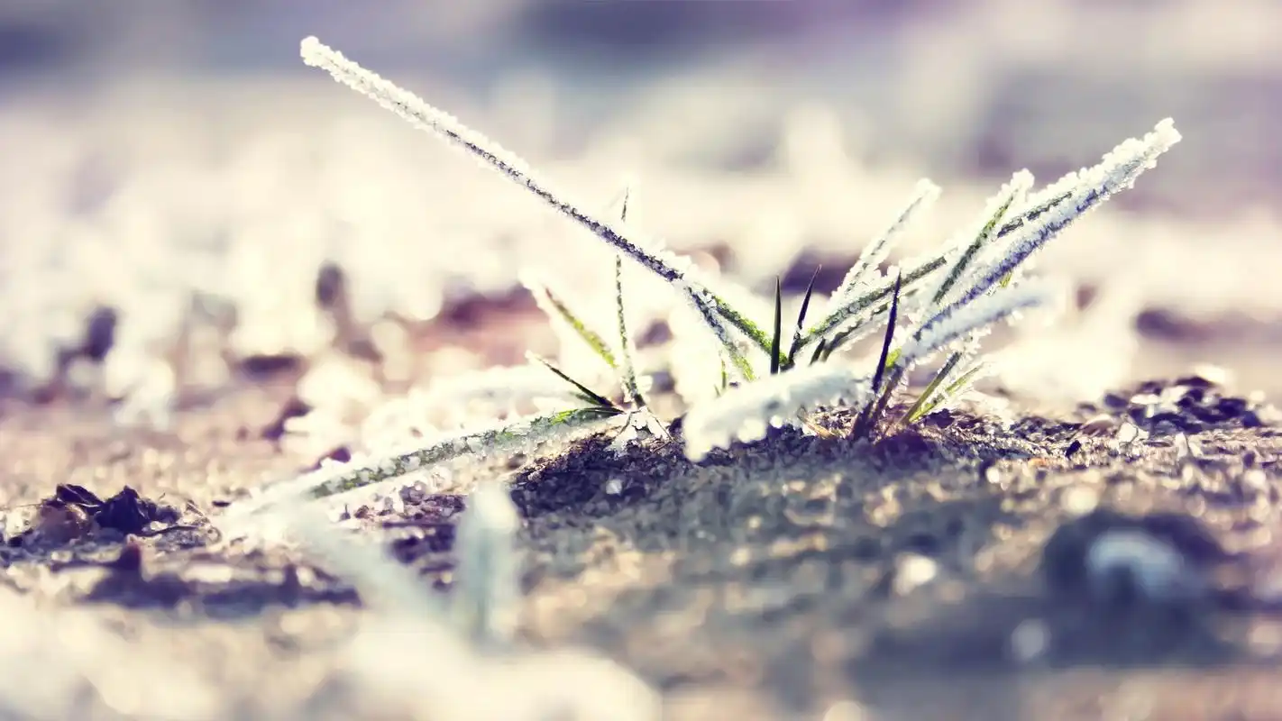 清新桌面壁纸之唯美好看的风景