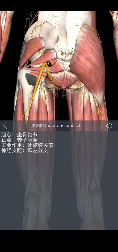 大腿外侧疼痛麻木的临床分析