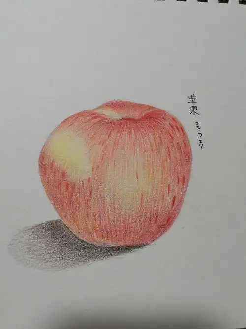 彩铅画临摹——苹果