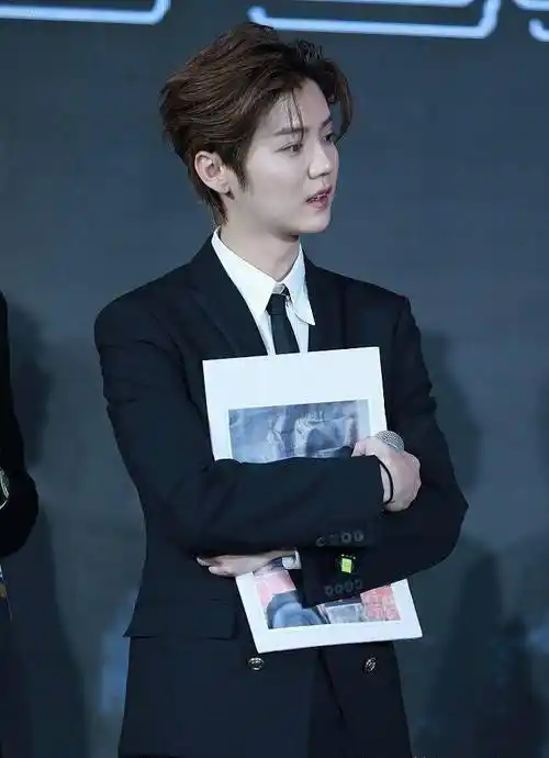 鹿晗超敬业!带病参加活动,生图碾压众多精修图