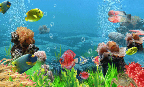 600_363gif 动态图 动图