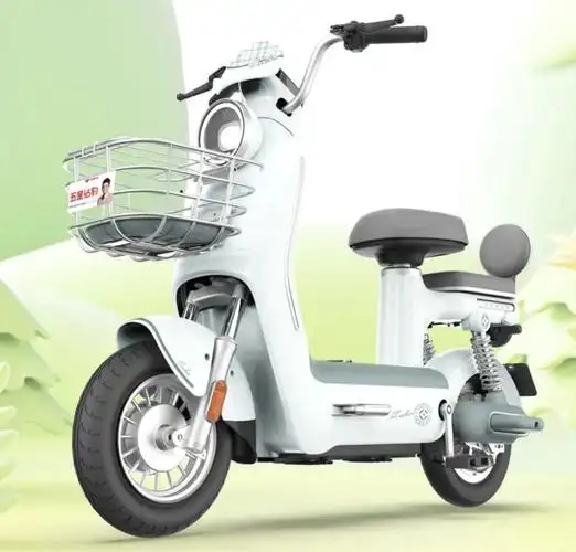 5款新品电动车亮相外观漂亮款式齐全48v60v72v全都有